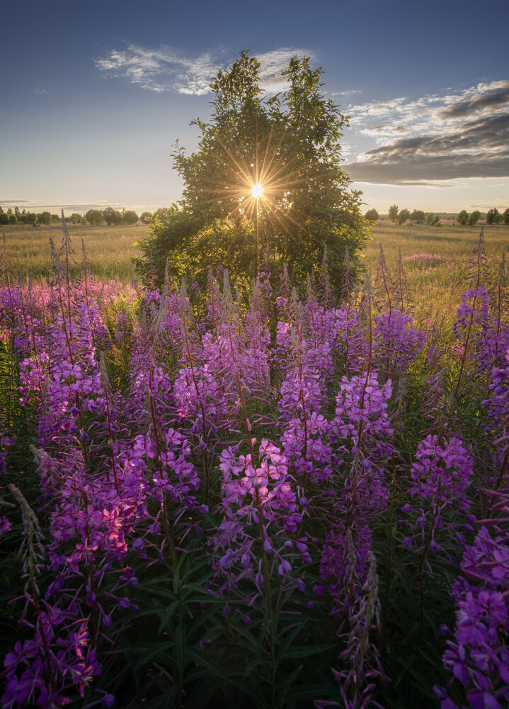 Photograph by Ivan Glinskiy