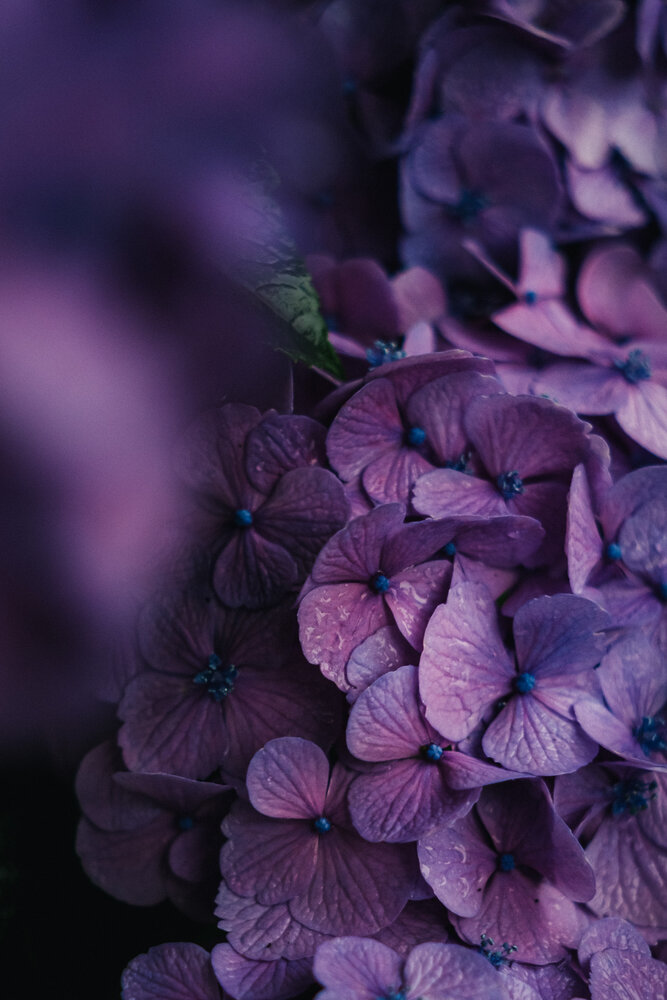 Photograph by y tanco