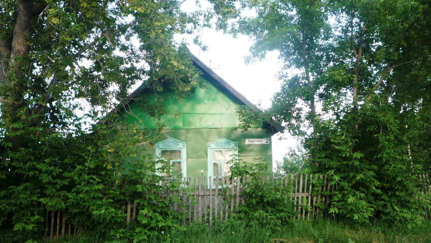 Photo #13854994