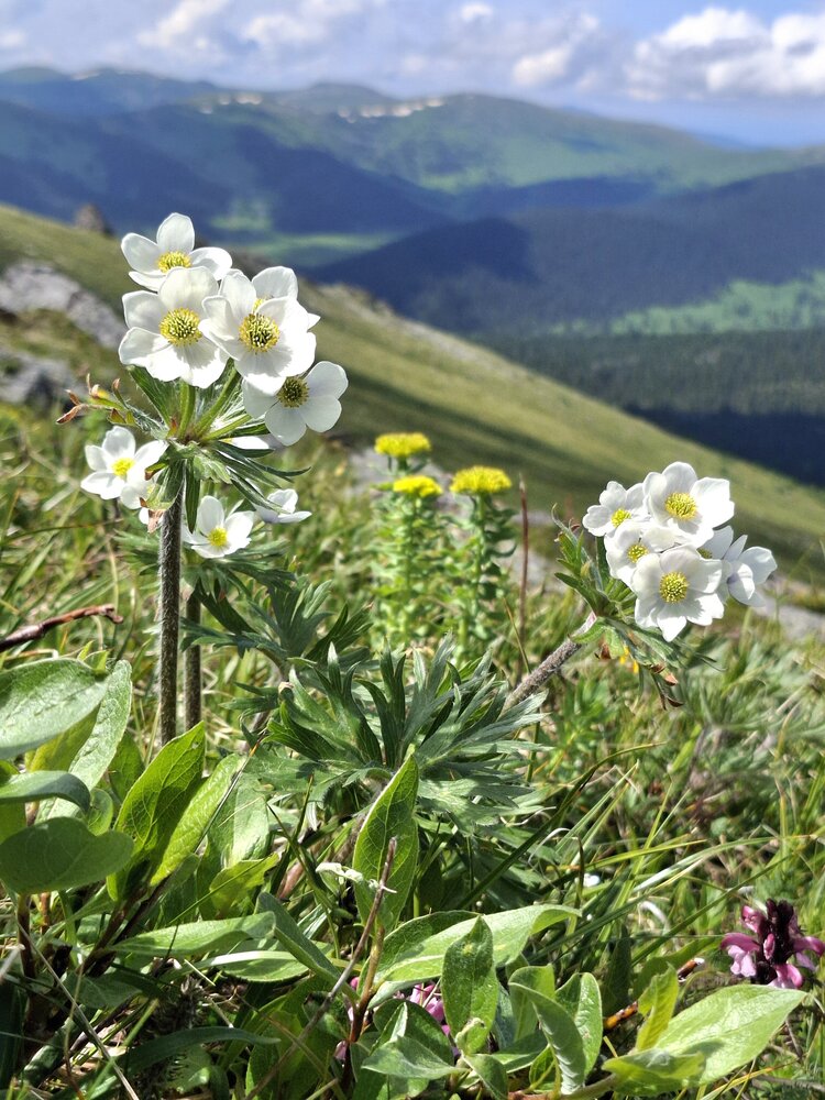 Photograph by Олег Лебедев
