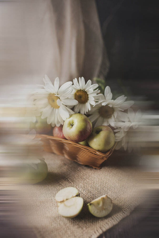 Фотография автора Альбина Кадочникова