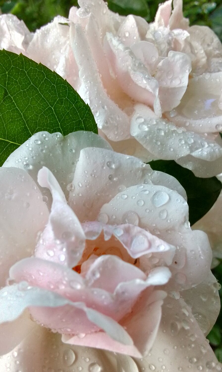 Photo #13855090
