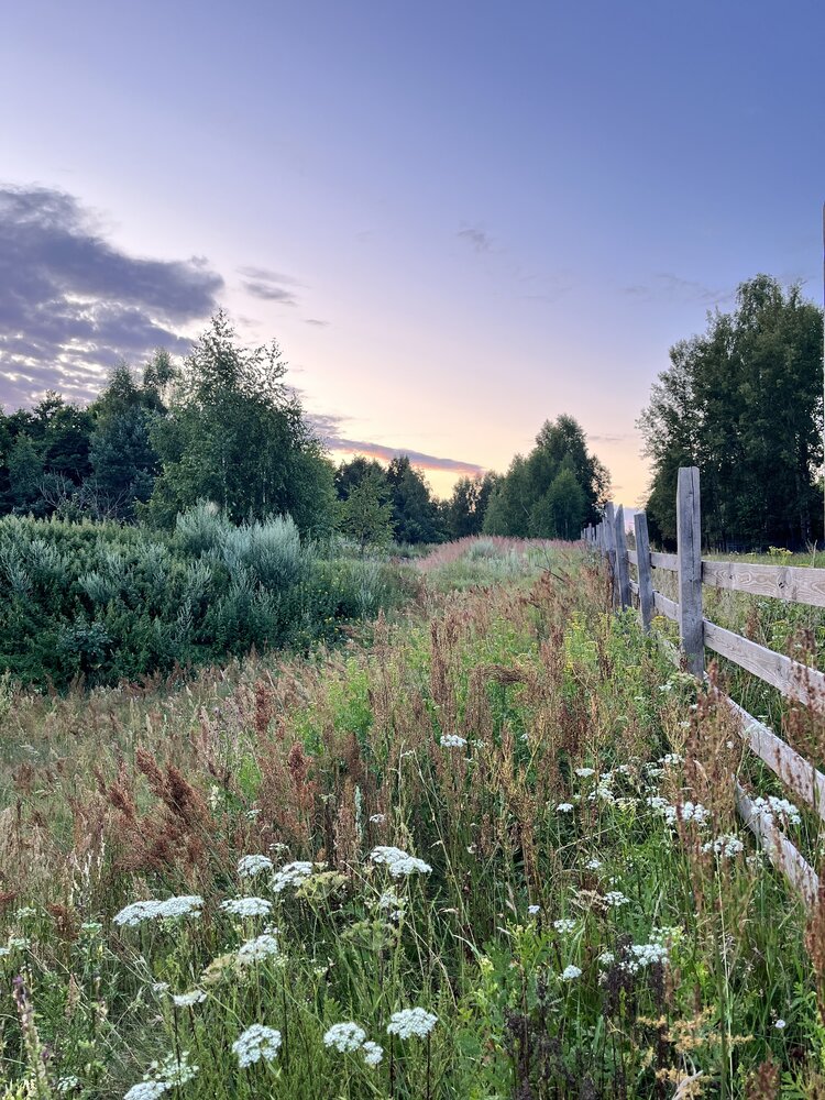 Photograph by Оксана Захарова