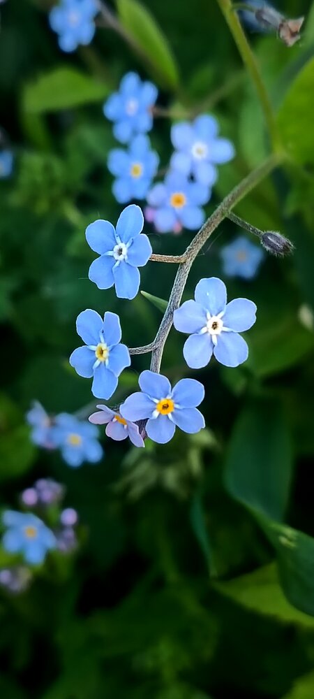 Photograph by Nаtaliia Zolotova