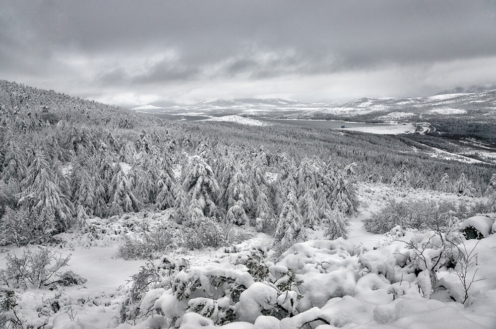 Photograph by Светлана Гореликова