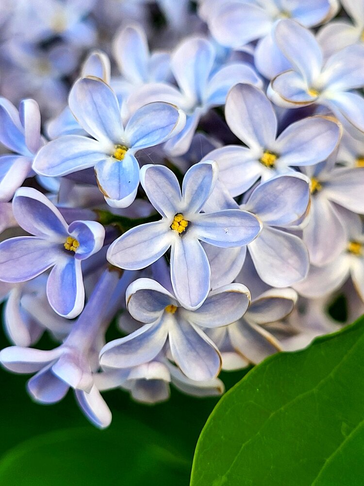 Photograph by Сергей Киршин
