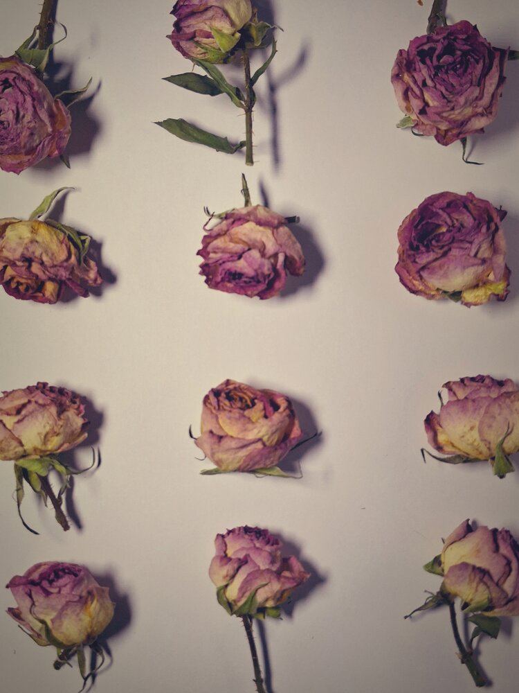 Photo #13855233