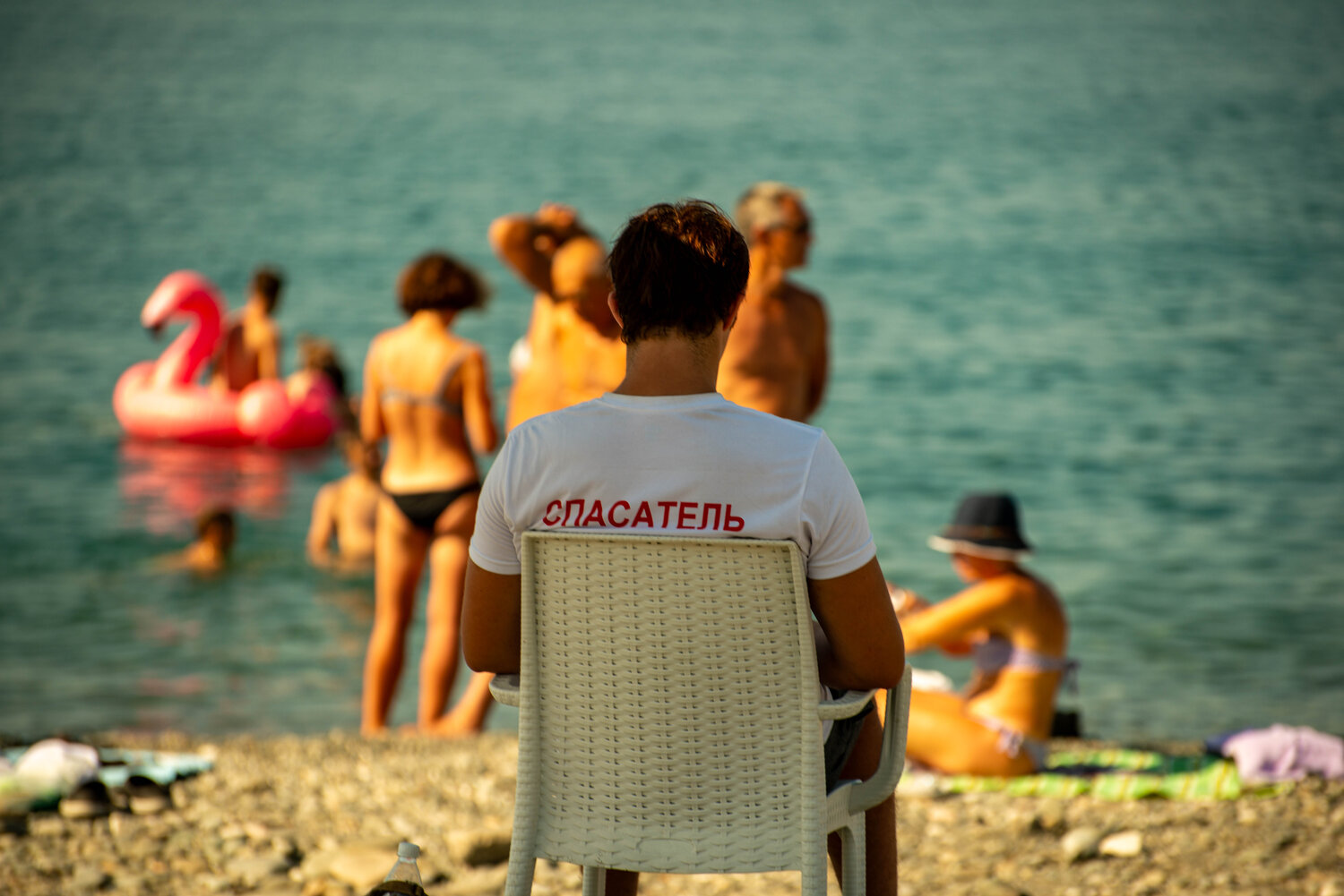 Photo #13855241