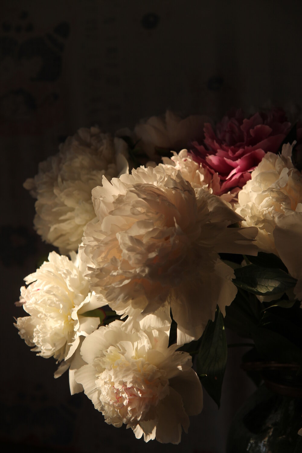 Photo #13855256