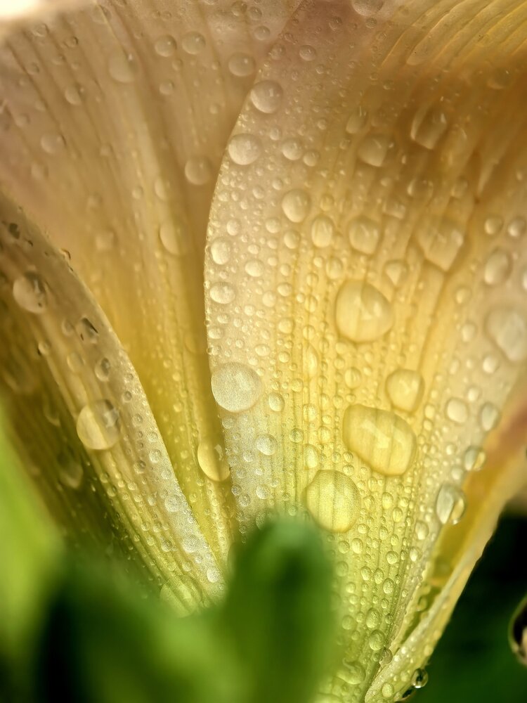 Photograph by FS FS
