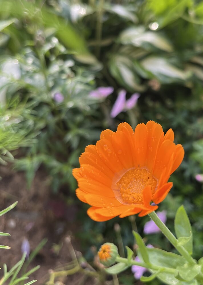 Photograph by Елена Зленко