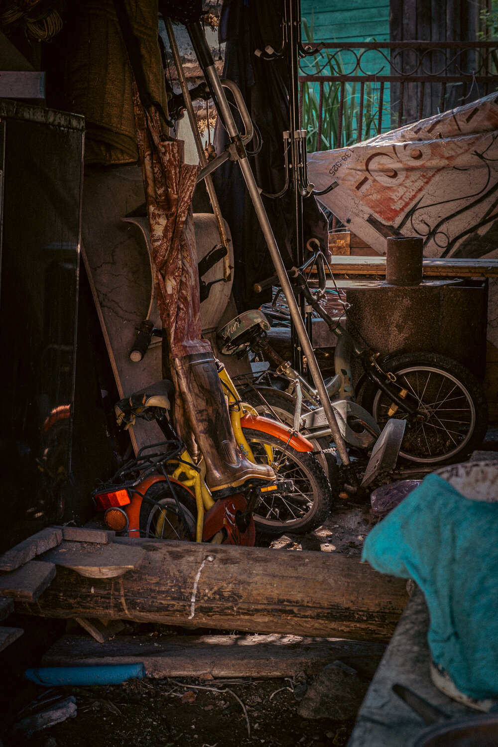 Photo #13855367