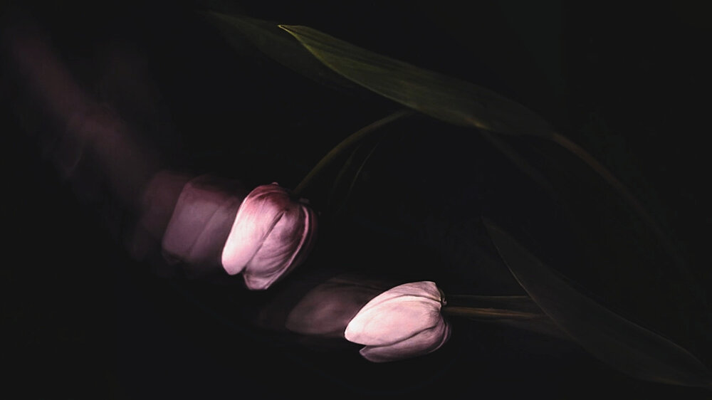 Photograph by Szilvia Farkas