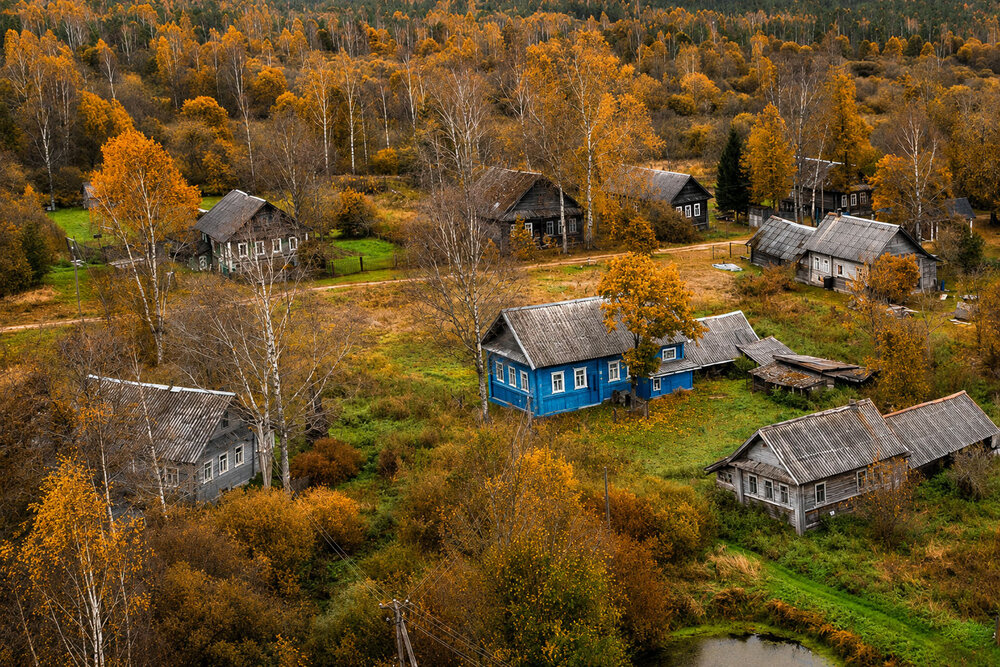 Фотография автора Тимофей Шутов