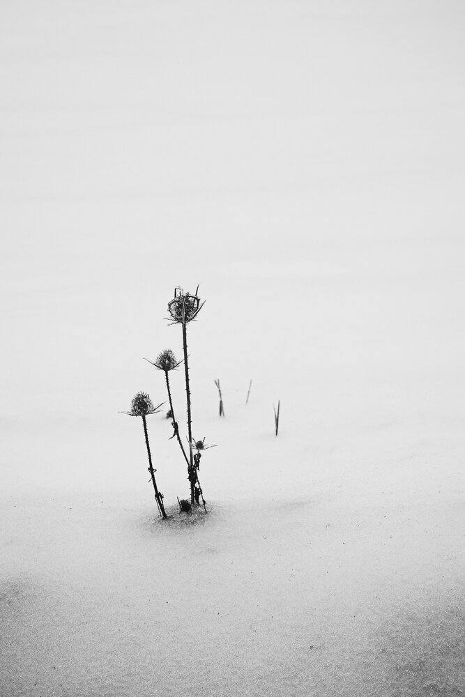 Photograph by Szilvia Farkas