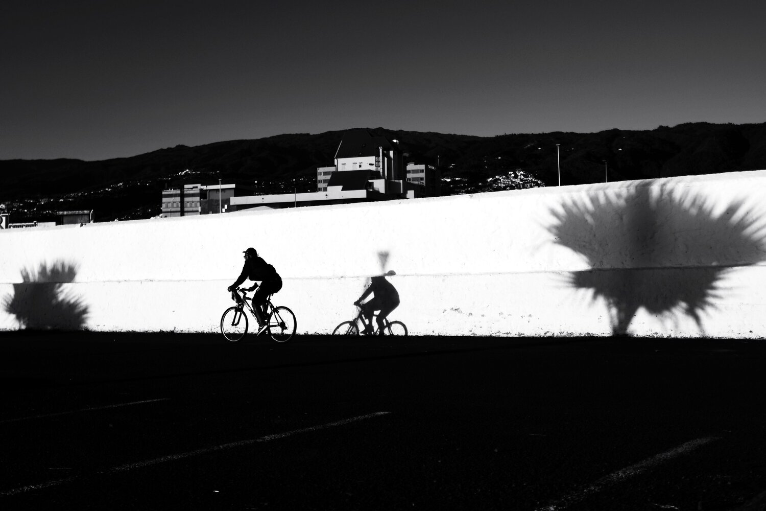 Photo #13855418