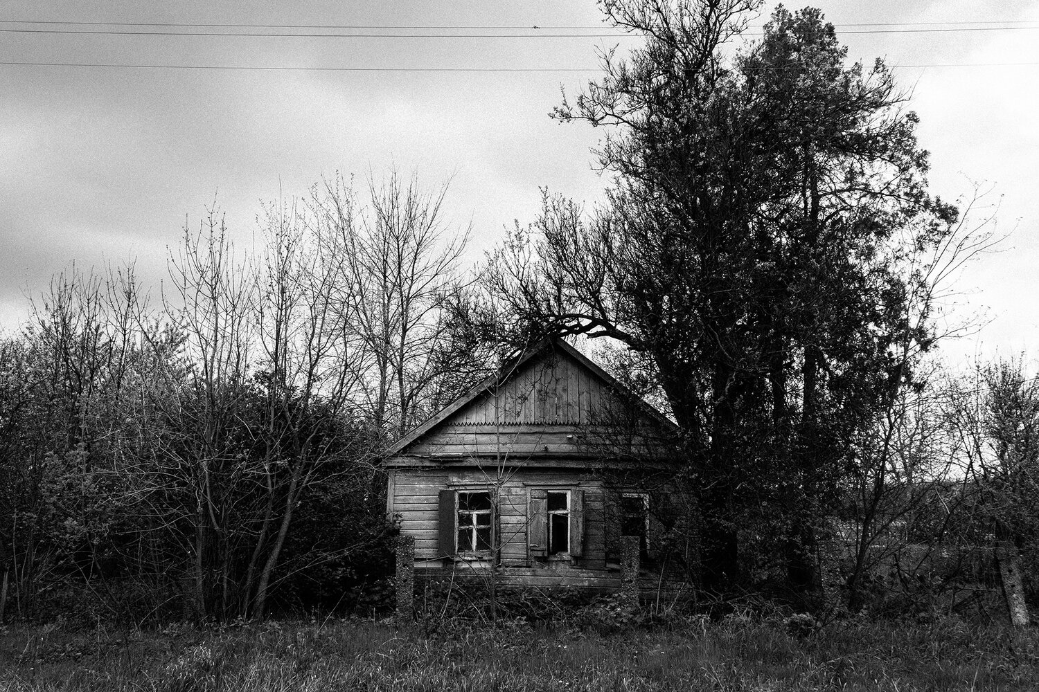 Photo #13855453