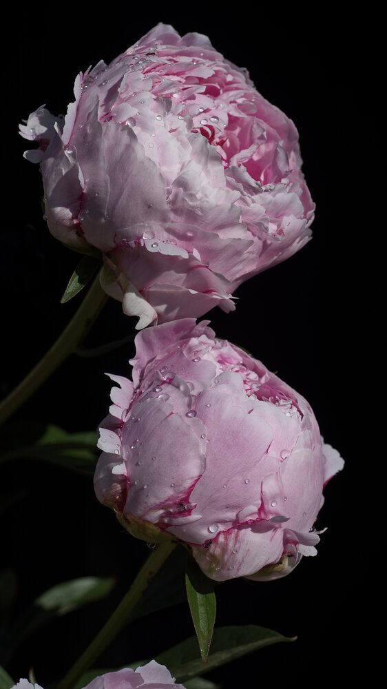 Photograph by Юрий Кашлевский