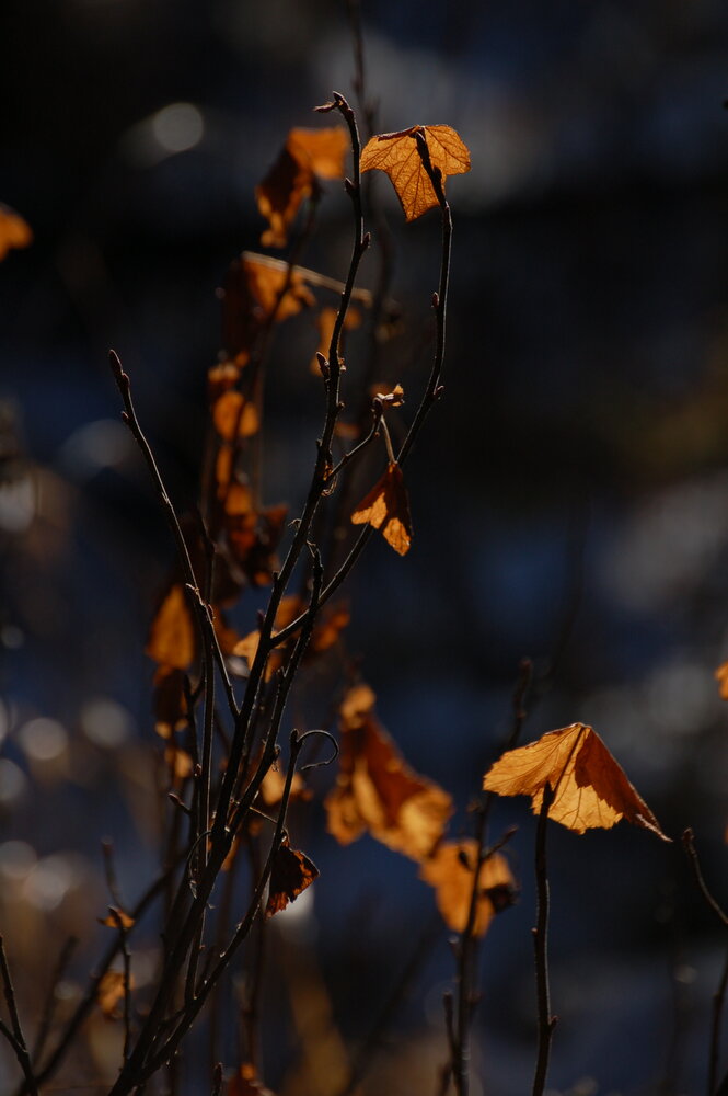 Photograph by Анатолий Радионов