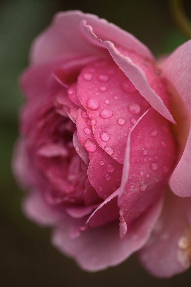 Photograph by Юрий Кашлевский