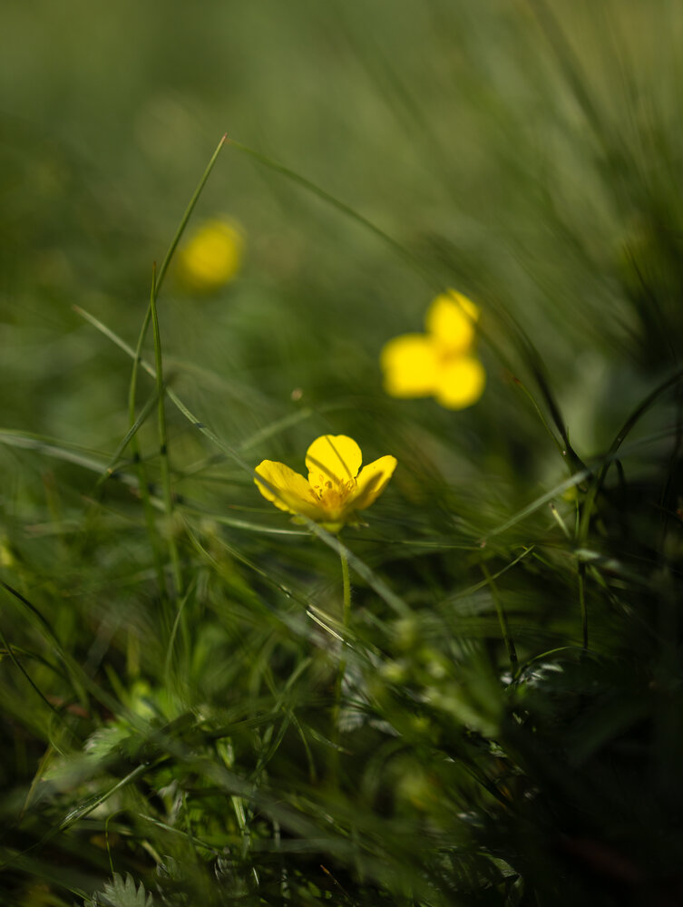 Photograph by Painterman