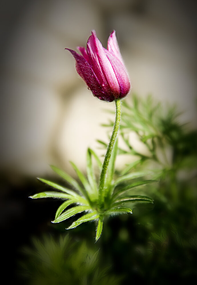 Photograph by Роман Приходько