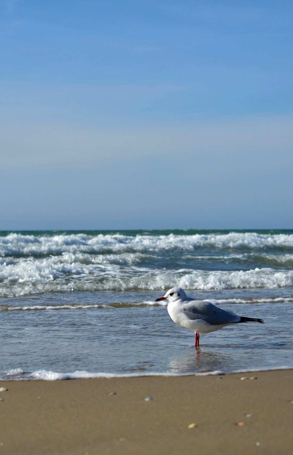 Photo #13855550