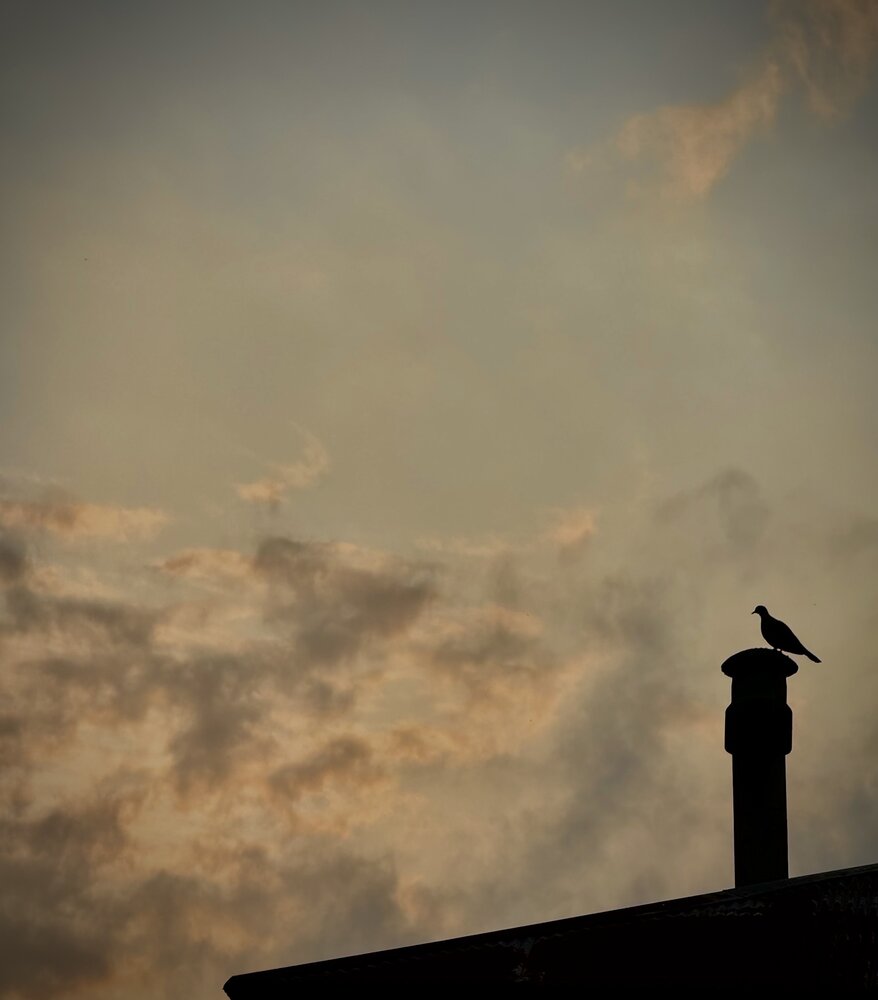 Photograph by Zahra alkan shekalgoorabi