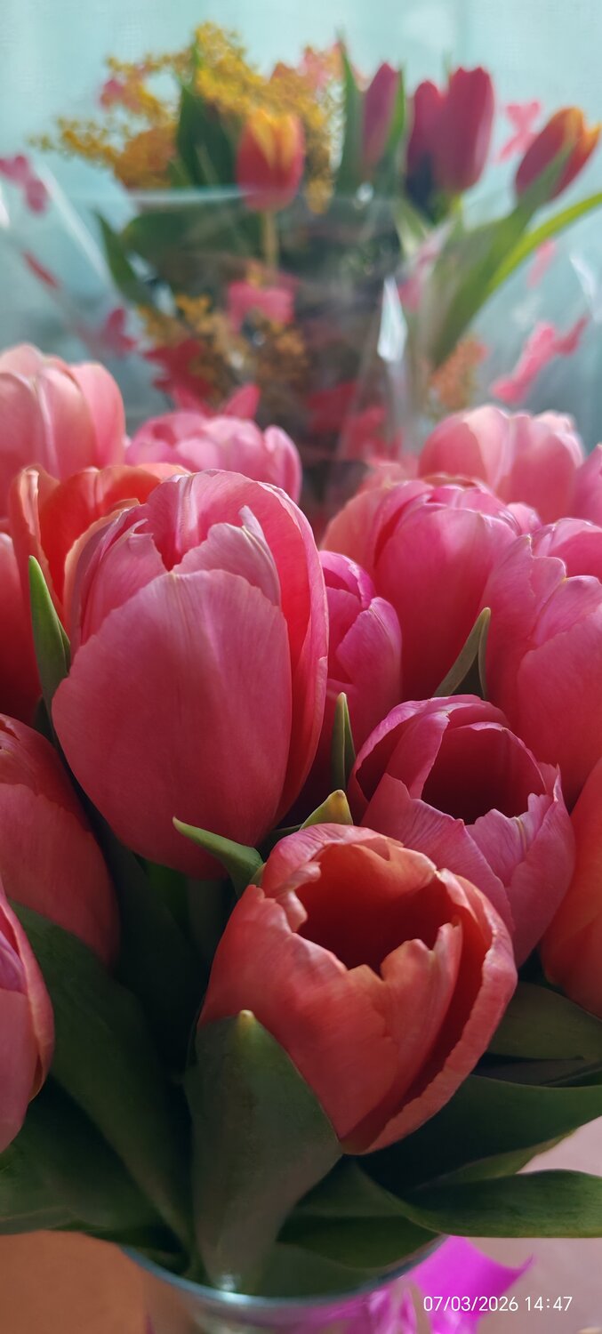 Photo #13855592