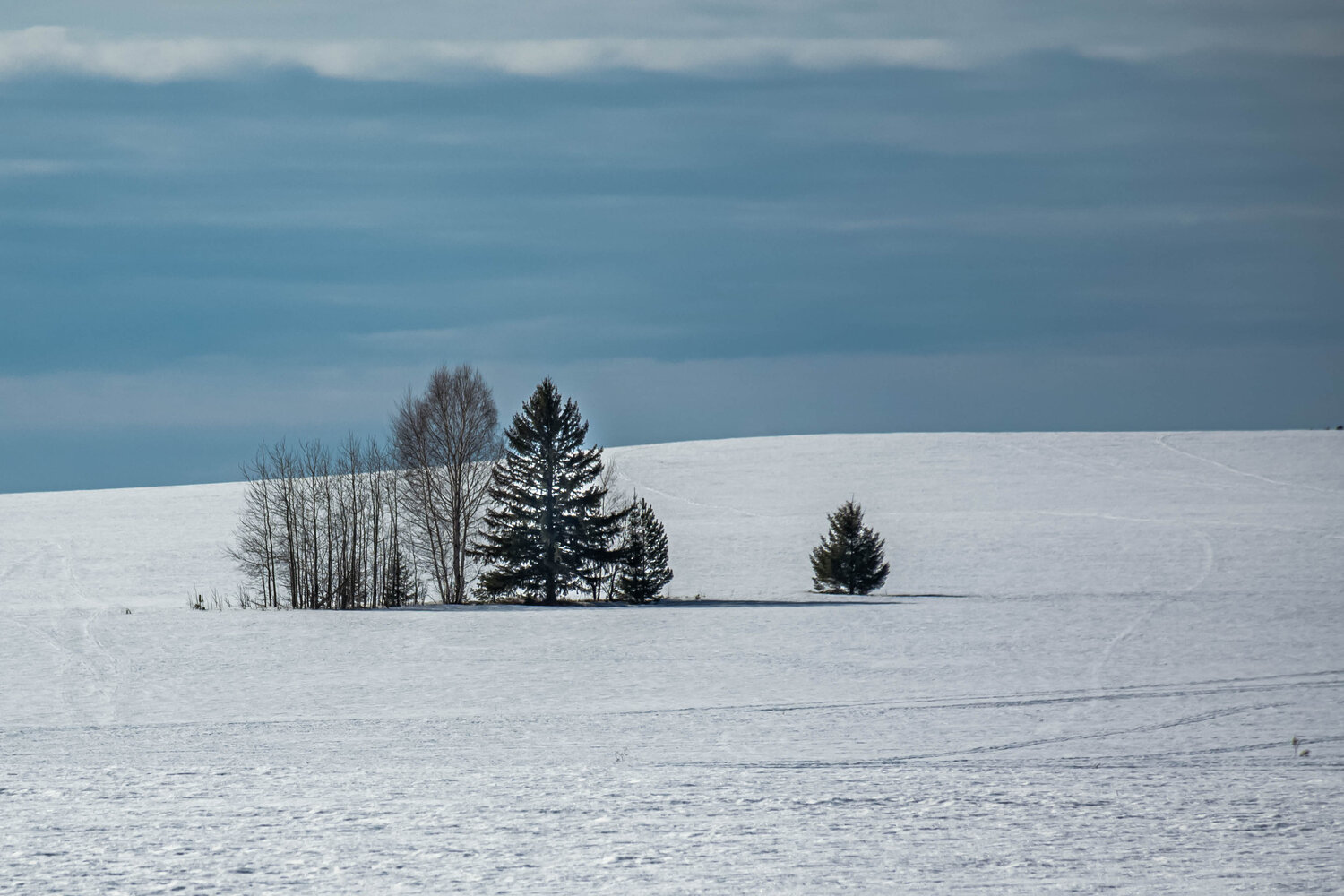 Photo #13855605