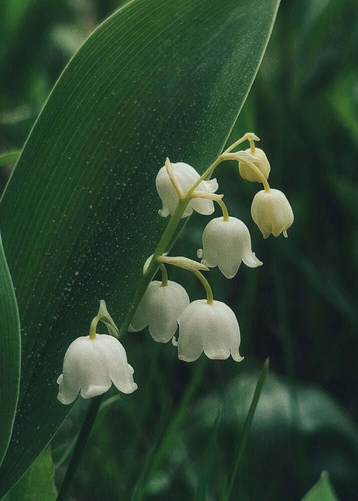 Photograph by Оксана Соболева