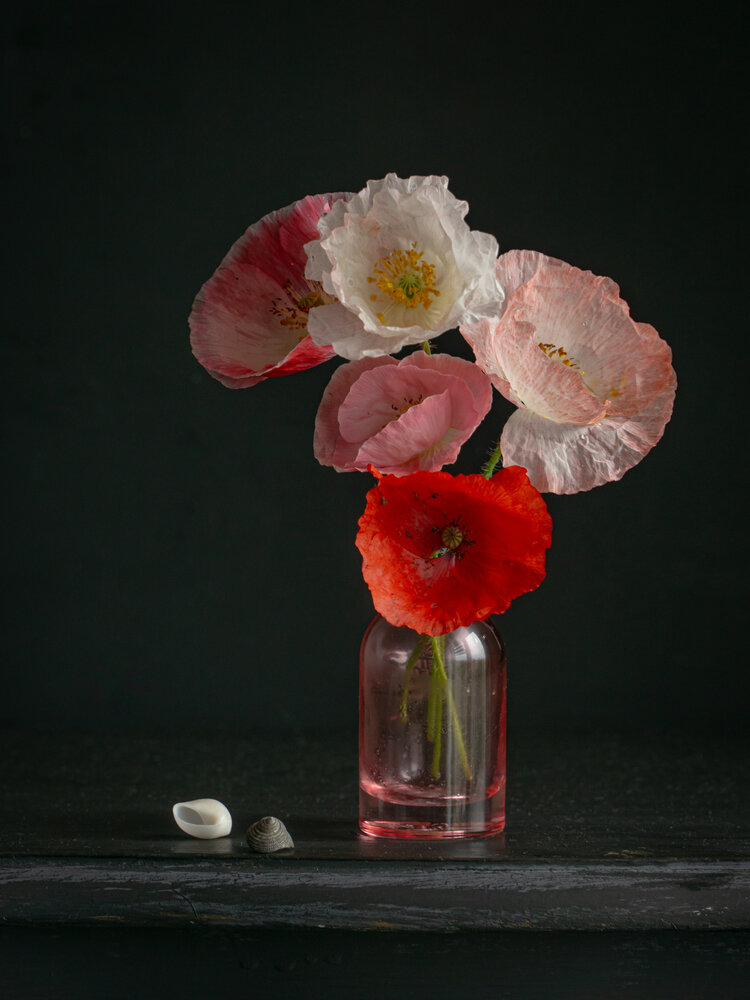 Photograph by Milla Walmus