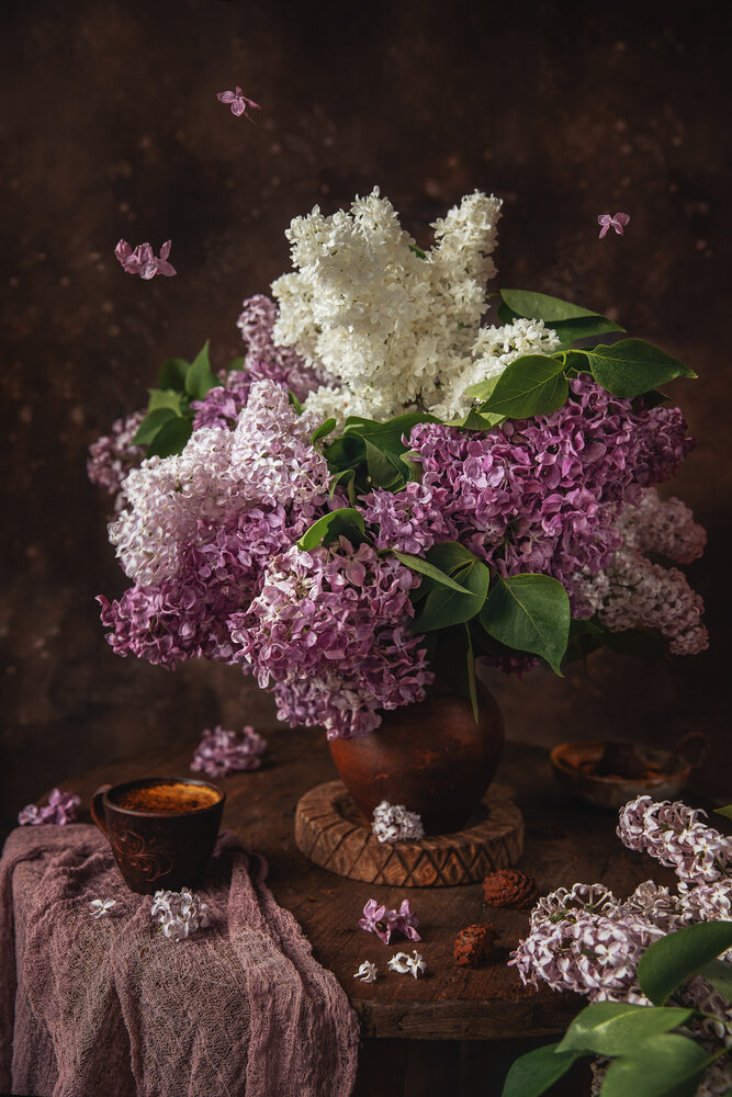 Фотография автора Романова Марина