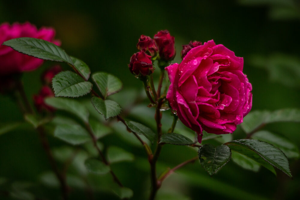 Photograph by Владислав Лопатов