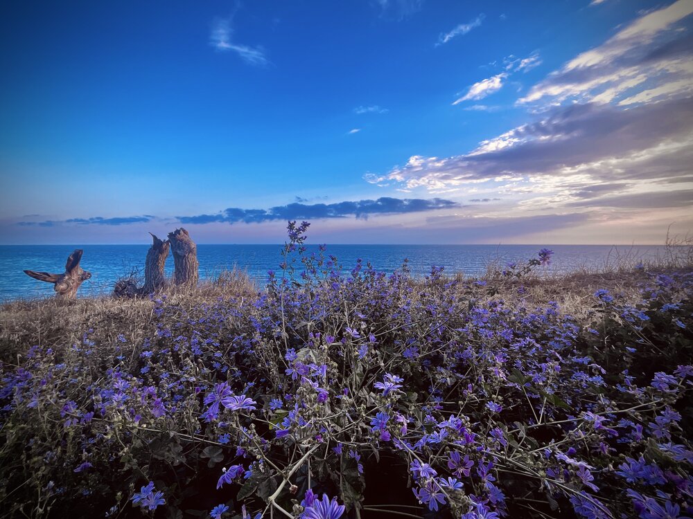 Photograph by Олеся Старицкая