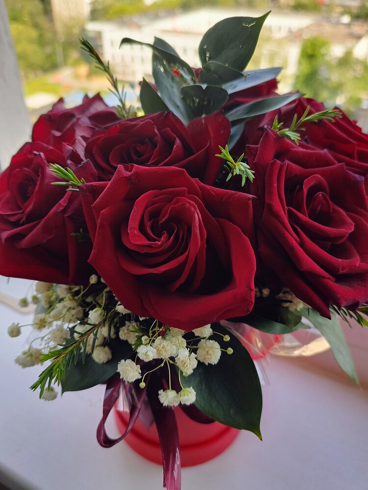 Photo #13855671