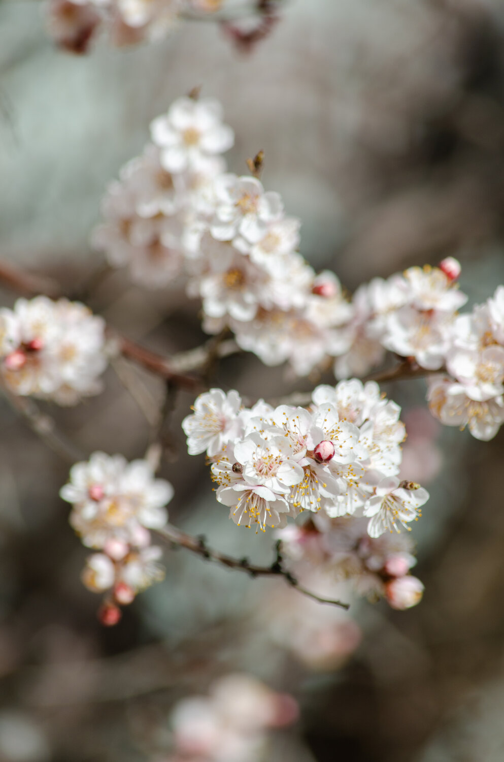 Photo #13855672