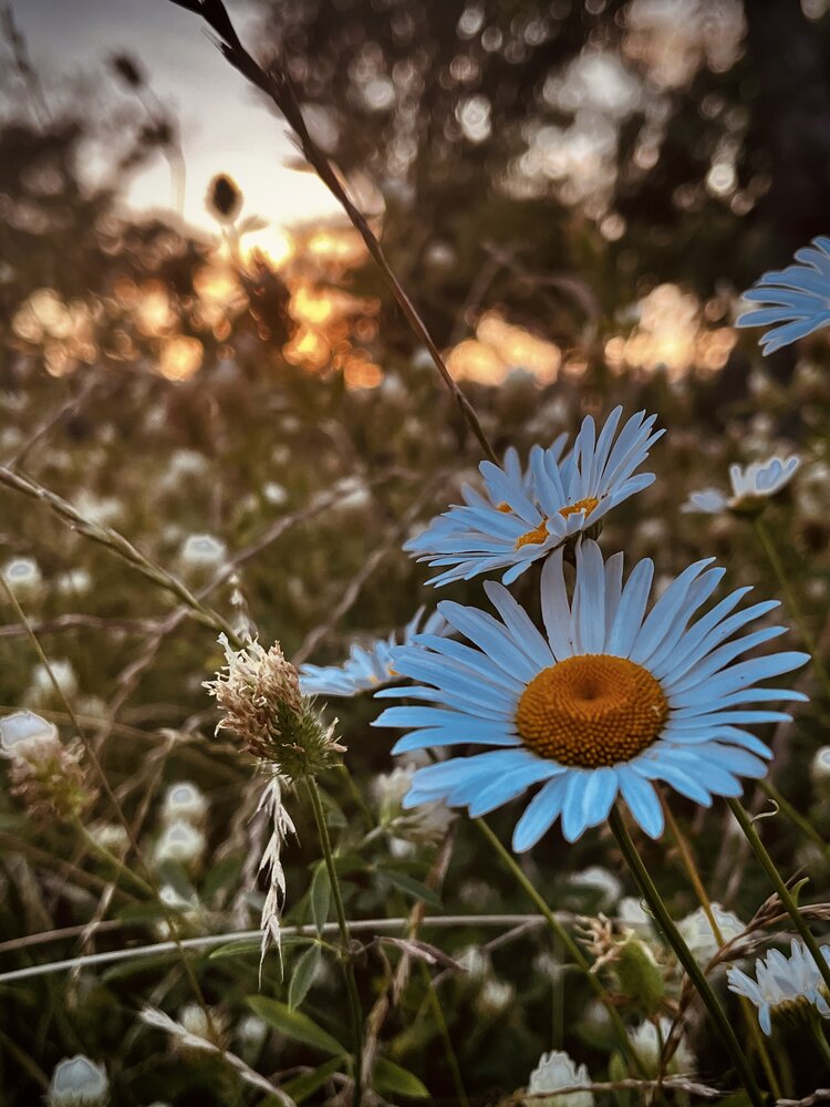 Photograph by Олеся Старицкая