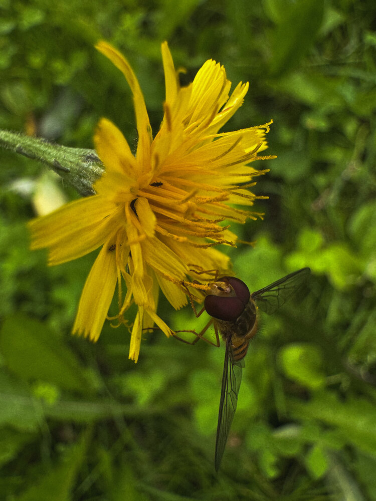 Photograph by Елена Войтова