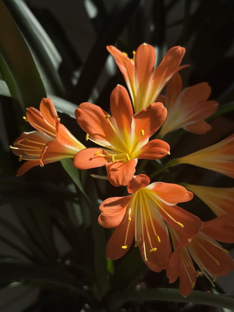 Photograph by Елена Войтова