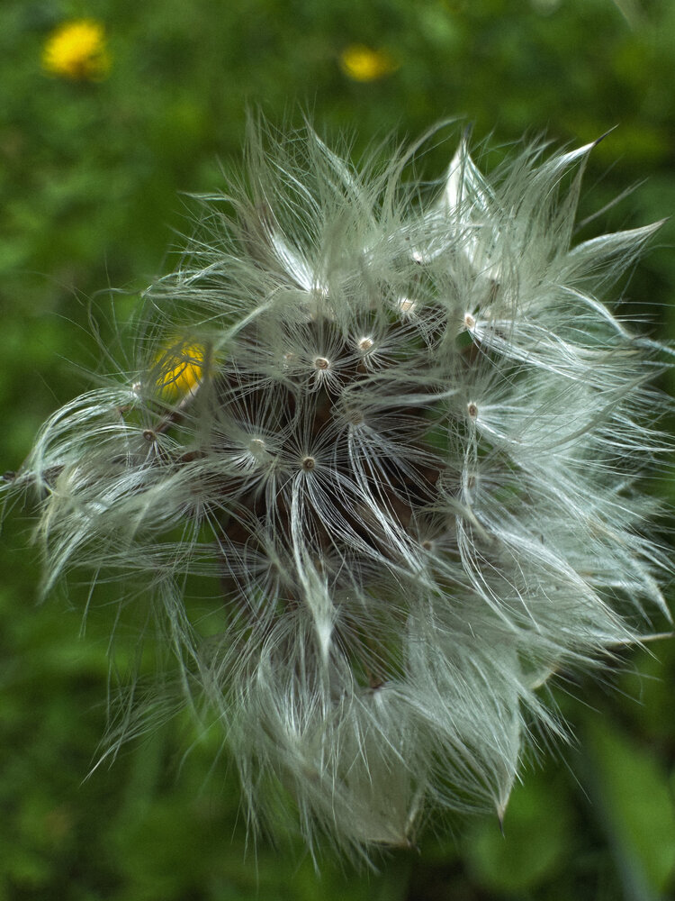 Photograph by Елена Войтова