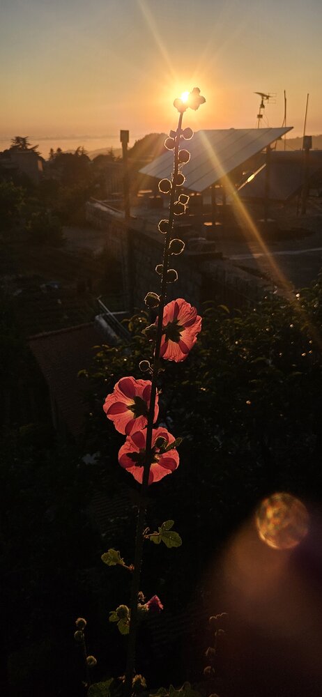 Photograph by Наталья Шумиловская