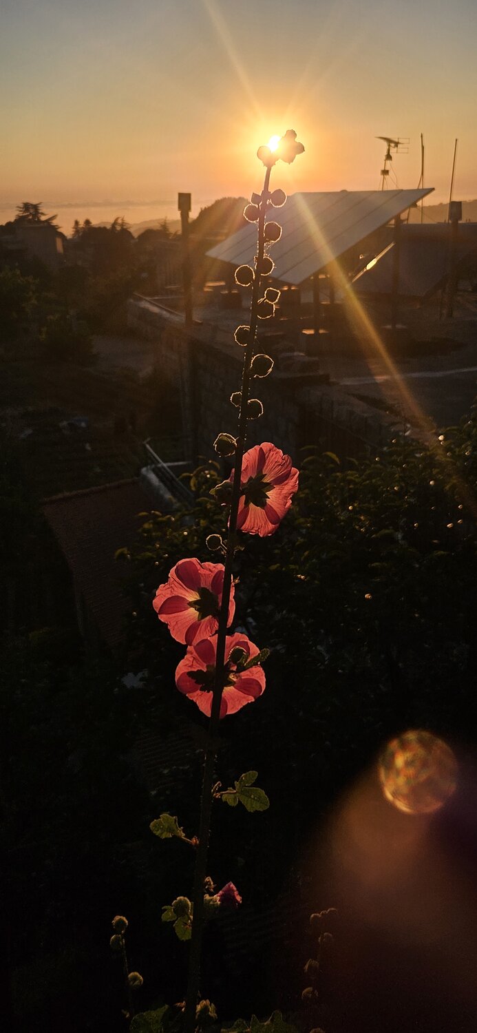 Photo #13855764