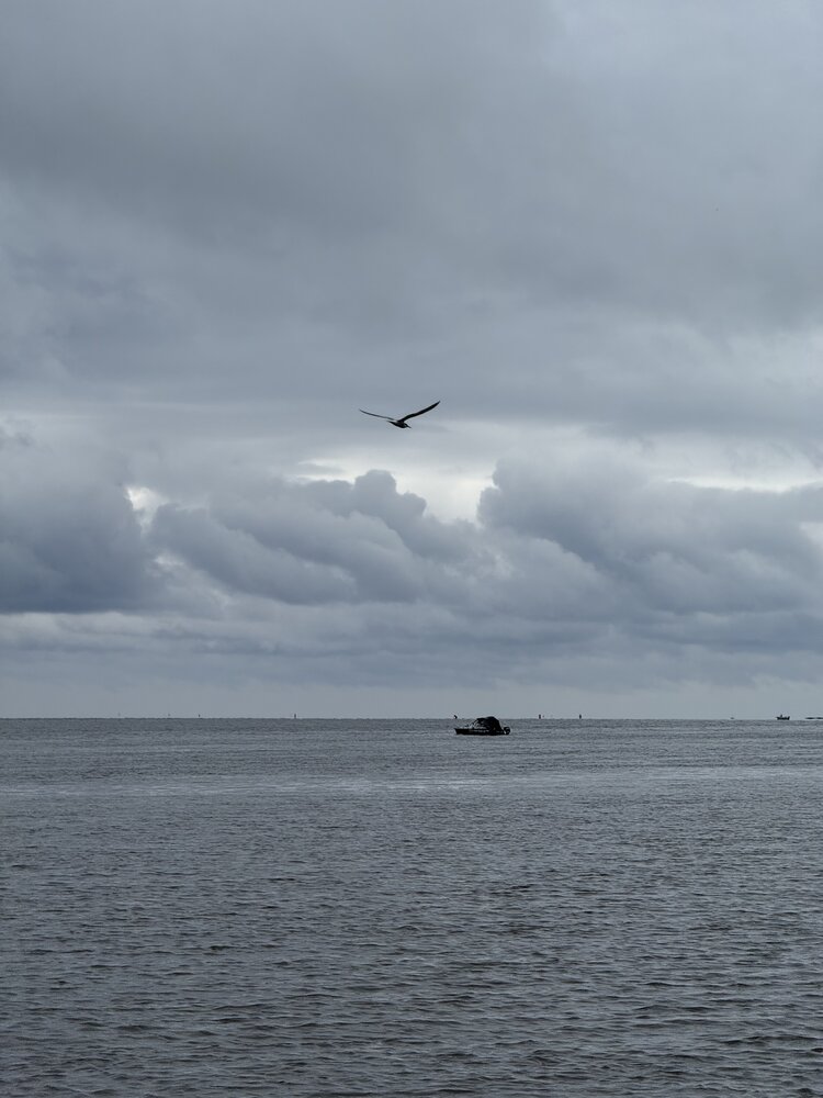 Photograph by Елена Войтова