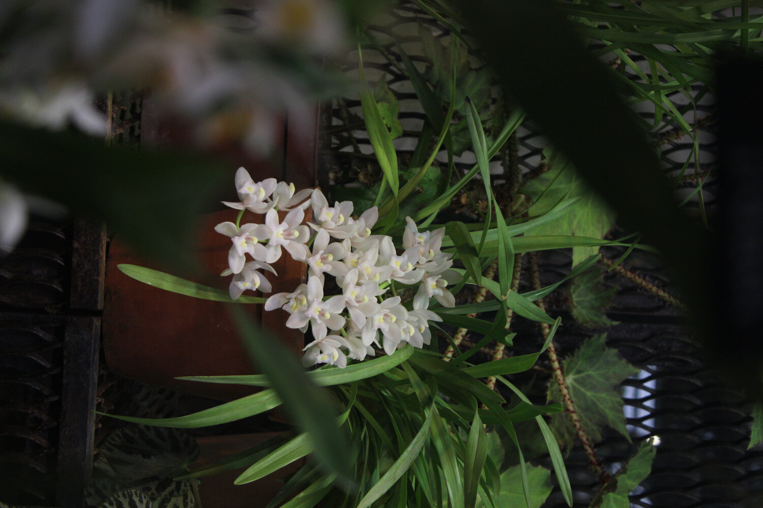 Photo #13855880