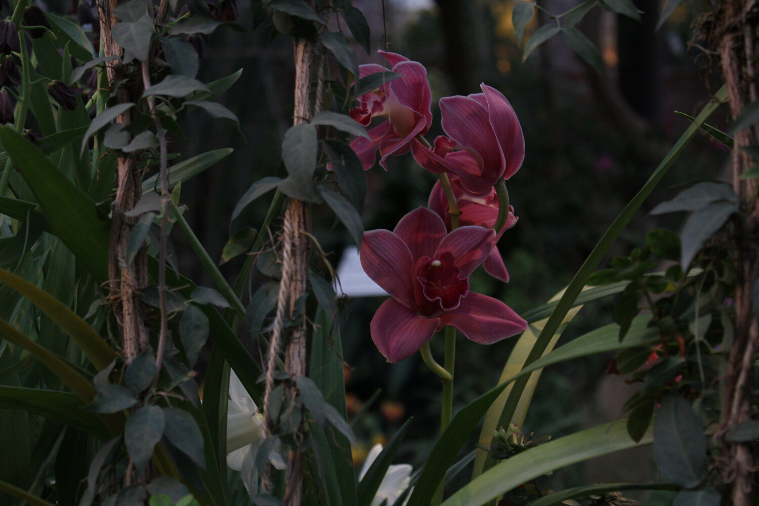 Photo #13855887