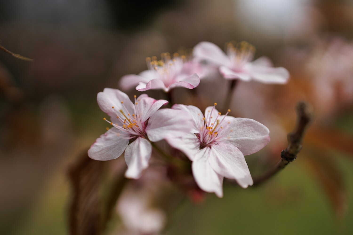 Photo #13855917