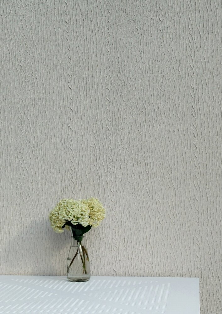Photo #13855925