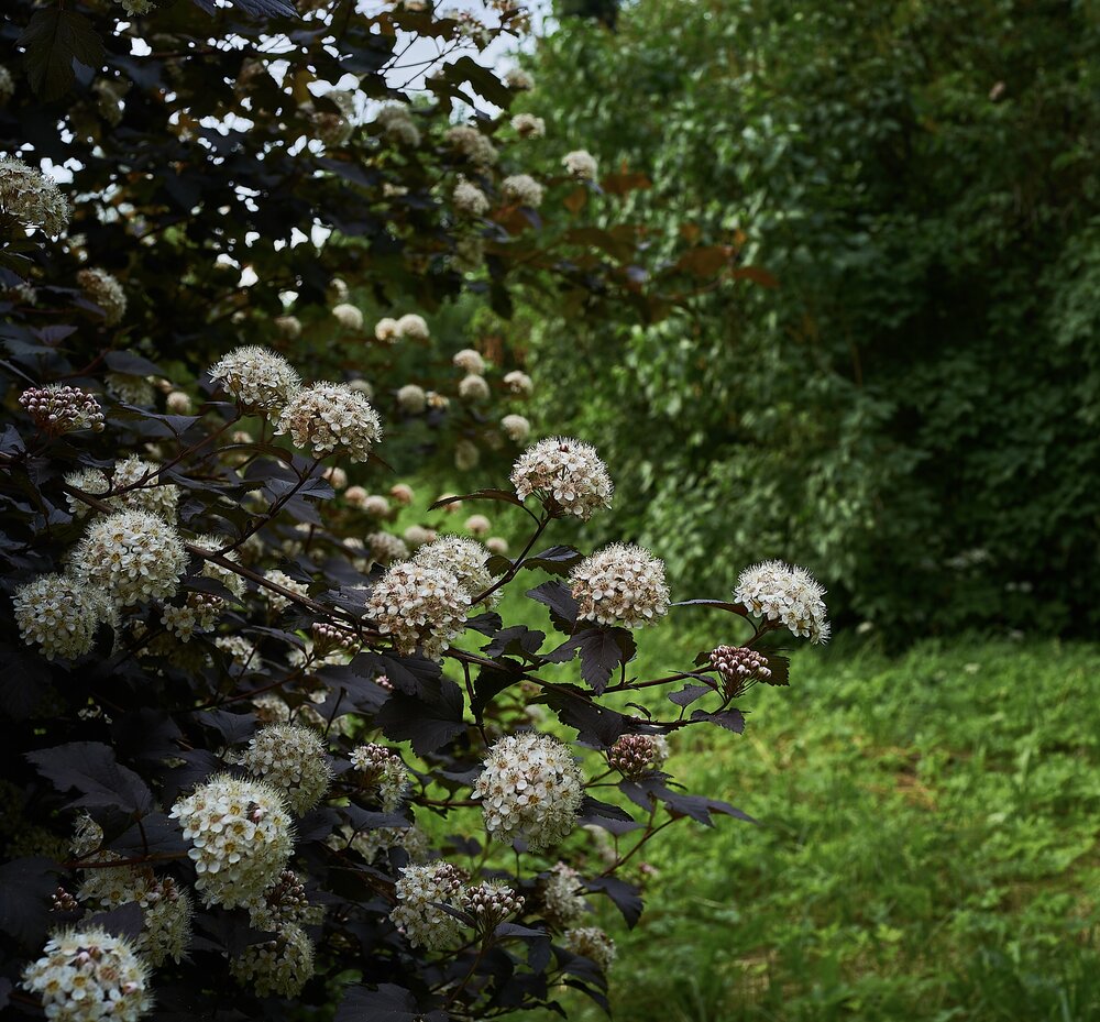 Photograph by Руслан Сидоренко