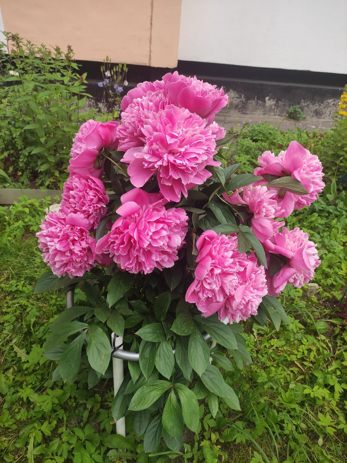 Photo #13855964